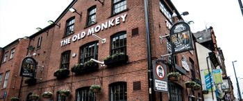 Old Monkey — photo 1