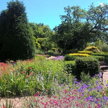 Brockwell Park — photo 1