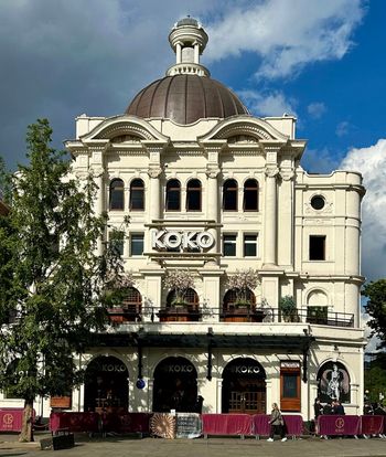 Koko — photo 1
