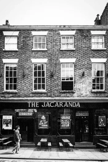The Jacaranda — photo 1