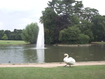 Bedford Park — photo 1