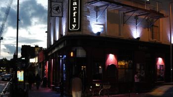 Barfly — photo 1