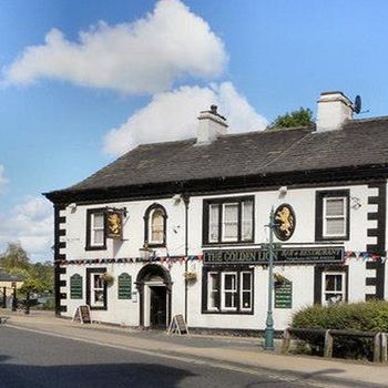 The Golden Lion — photo 1