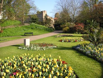 Lower Castle Park — photo 1