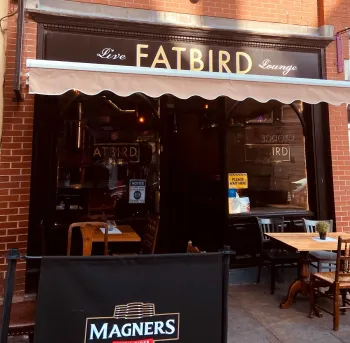 Fatbird — photo 1