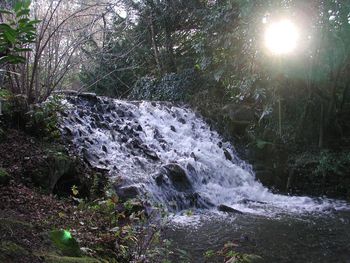 Marlay Park — photo 1