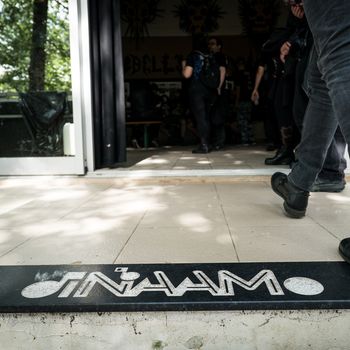DINAAMO — photo 1