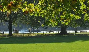 Higginson Park — photo 1