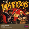 The Waterboys - Fisherman's Blues Revue The Waterboys, Steve Earle gig poster