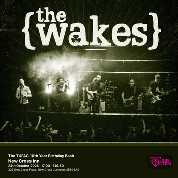 The TUFAC 10th Year Birthday Bash Steve White & The Protest Family, The Wakes at New Cross Inn on 24 October 2026 gig poster