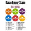 Ocean Colour Scene Tour Ocean Colour Scene, Kula Shaker gig poster