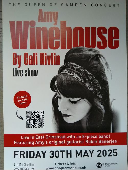 Amy Winehouse By Cali Rivlin
