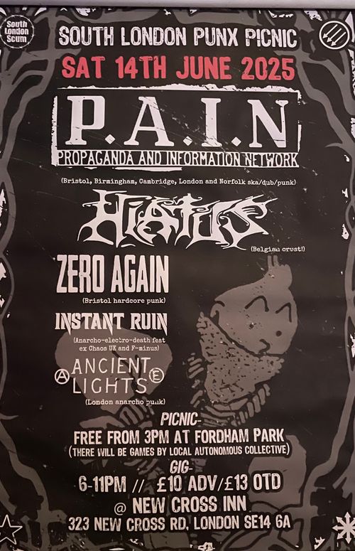 South London Punx Picnic