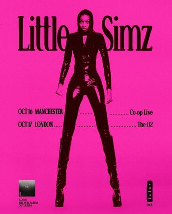 Little Simz Tour