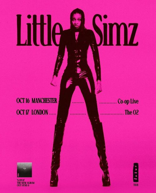 Little Simz Tour
