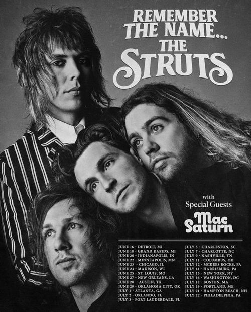 The Struts