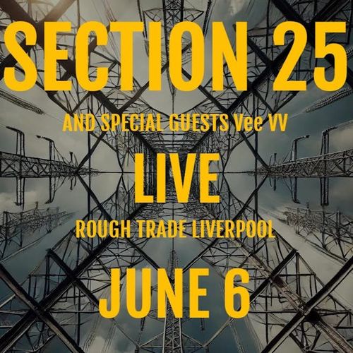 Section 25 Plus Special Guests