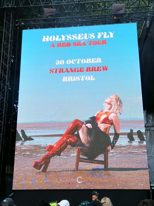 HOLYSSSEUS FLY