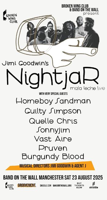 Jimi Goodwin's Nightjar