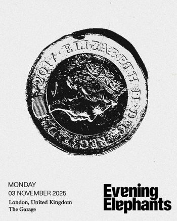 Evening Elephants