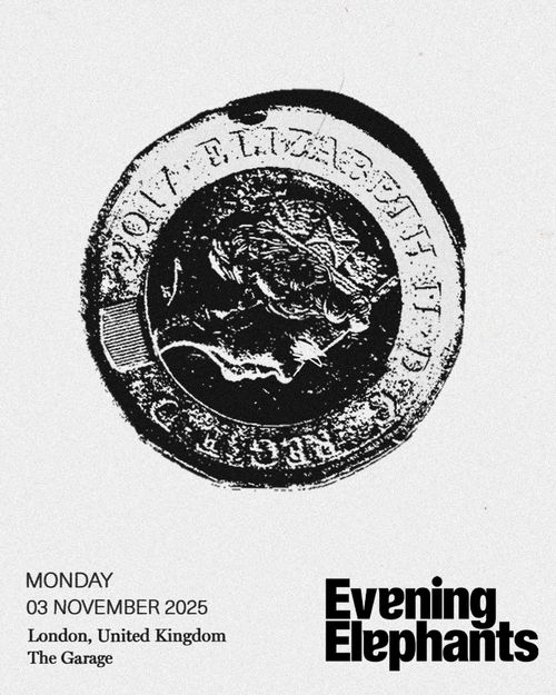 Evening Elephants