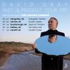 DAVID GRAY PAST & PRESENT TOUR David Gray, The Divine Comedy gig poster