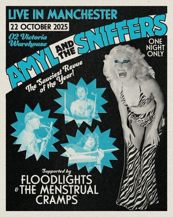 AMYL AND THE SNIFFERS