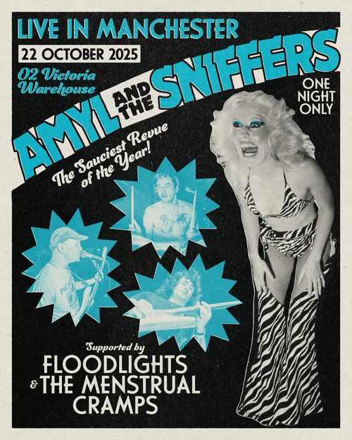 AMYL AND THE SNIFFERS