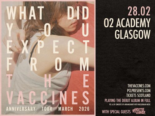 What Did You Expect From The Vaccines