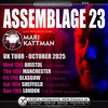 ASSEMBLAGE 23