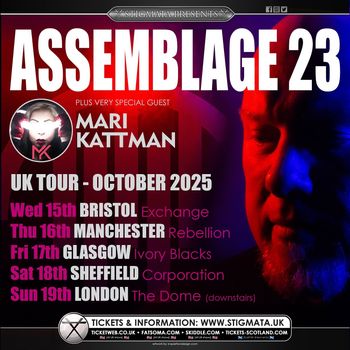 ASSEMBLAGE 23