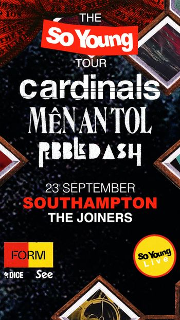 THE So Young TOUR
