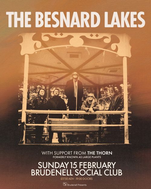 THE BESNARD LAKES