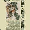 Bearded Theory Pixies, Skunk Anansie gig poster