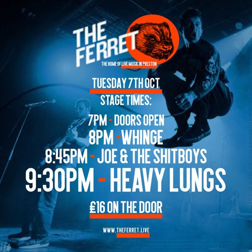 THE FERRET