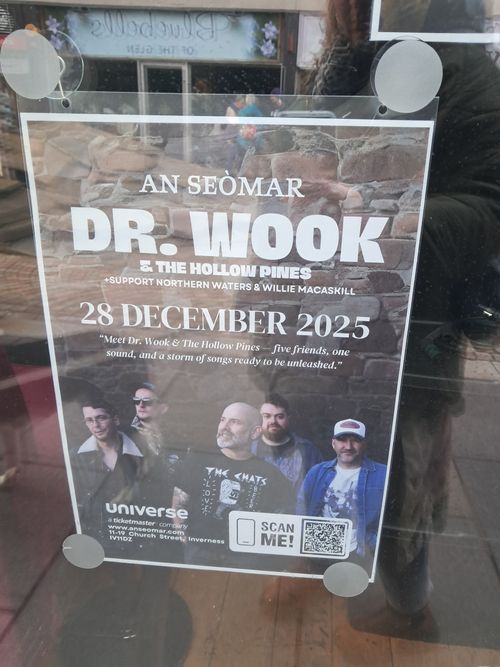 AN SEÒMAR DR. WOOK & THE HOLLOW PINES