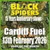 15 Years Anniversary Shows BLACK SPIDERS, SONS OF THE NORTH gig poster