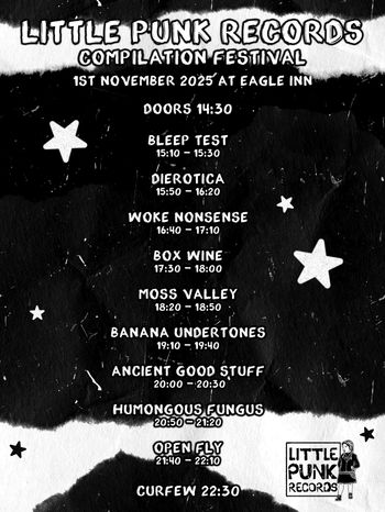 LITTLE PUNK RECORDS COMPILATION FESTIVAL