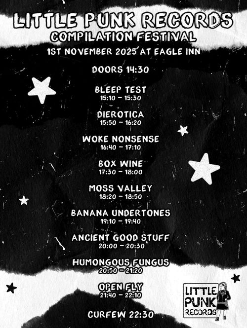 LITTLE PUNK RECORDS COMPILATION FESTIVAL