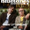 The Bluetones Acoustic