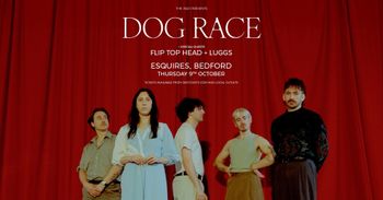 DOG RACE