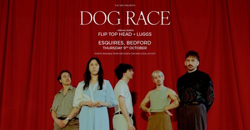 DOG RACE