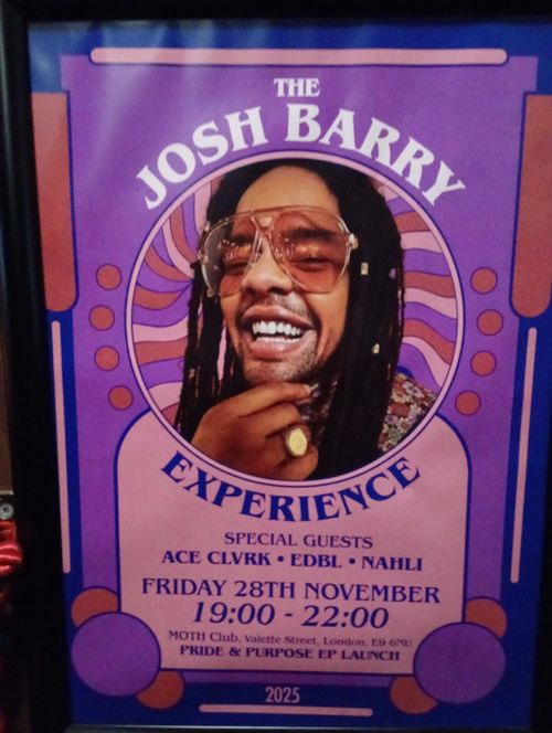 THE JOSH BARRY EXPERIENCE