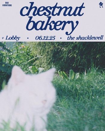 chestnut bakery