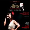 THE AMY WINEHOUSE EXPERIENCE gig poster