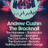 BRING THE NOISE THE BRACKNALL, ANDREW CUSHIN, Sunbeam, THE KOWLOONS, Revivalry, The Manatees, SHAMBOLICS, Rosellas, Spangled, Nothing Rhyhmes With Orange, The Outcharms gig poster