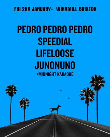 Pedro Pedro Pedro + Speedial + Lifeloose + Junonuno LIFELOOSE, SPEEDIAL, PEDRO PEDRO PEDRO, JUNONUNO at Windmill Brixton on 2 January 2026 gig poster