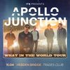 WHAT IN THE WORLD TOUR Apollo Junction gig poster