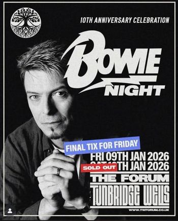 Bowie Night