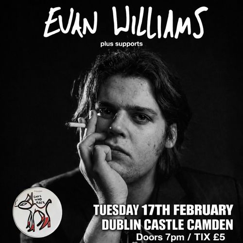 Evan Williams at Dublin Castle on 17 February 2026 gig poster